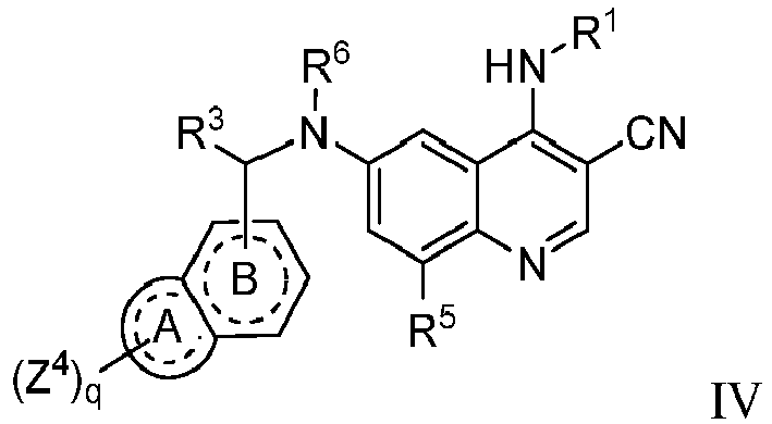 Figure imgb0011