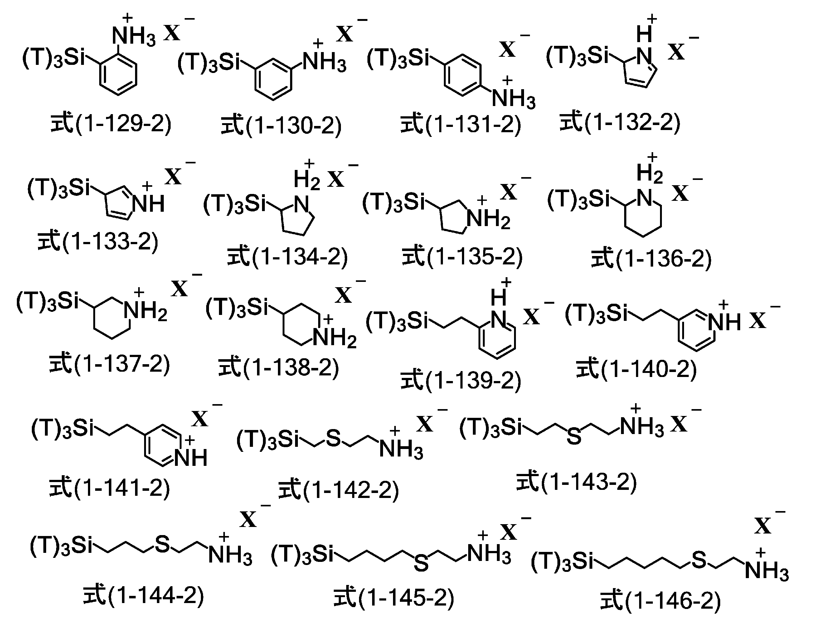 Figure JPOXMLDOC01-appb-C000060
