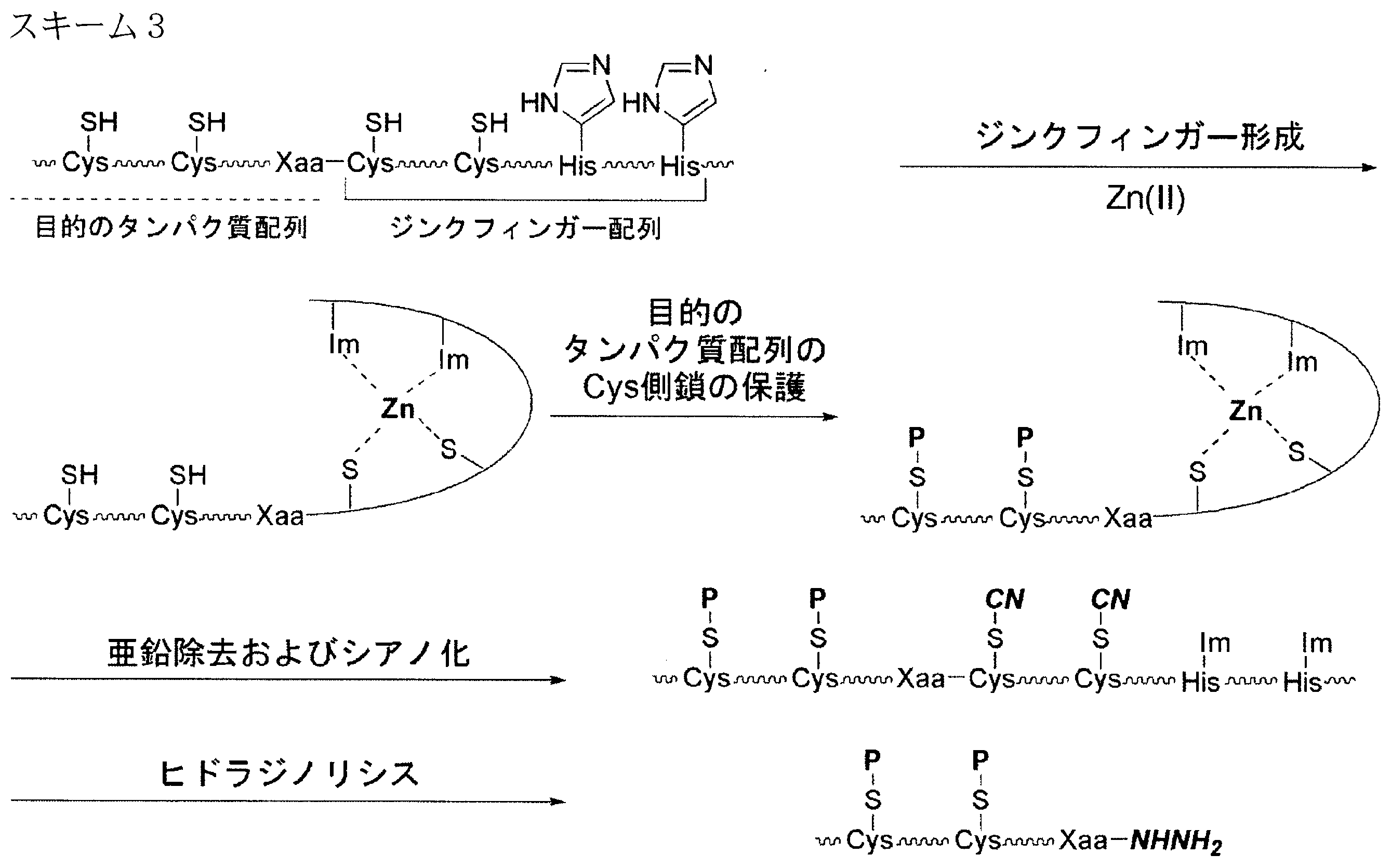 Figure JPOXMLDOC01-appb-C000082