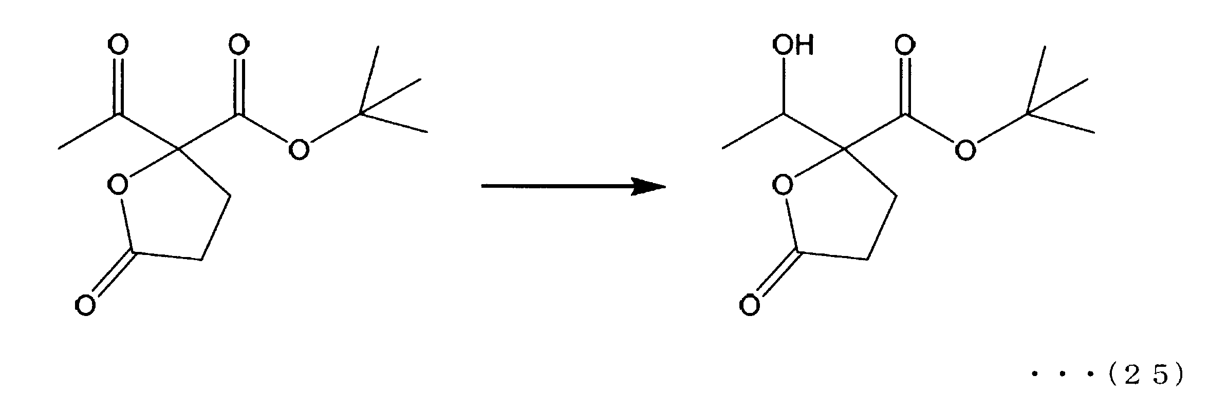 Figure JPOXMLDOC01-appb-C000041