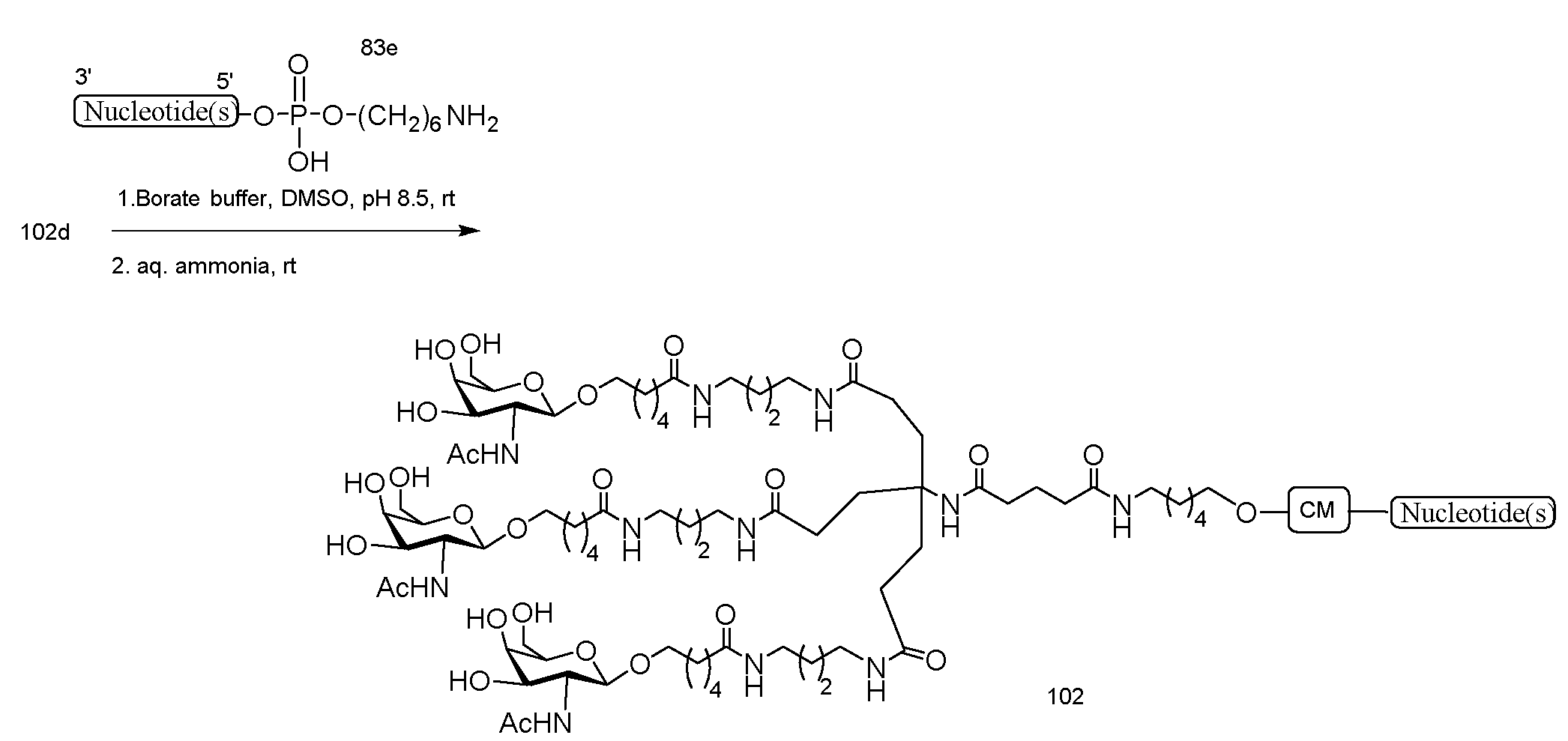 Figure imgf000153_0001