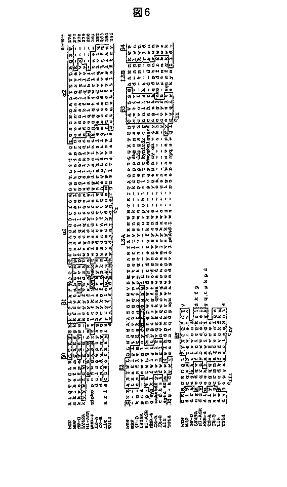 Jp2010538655a 自己免疫疾患についてのhsp70に基づく治療 Google Patents