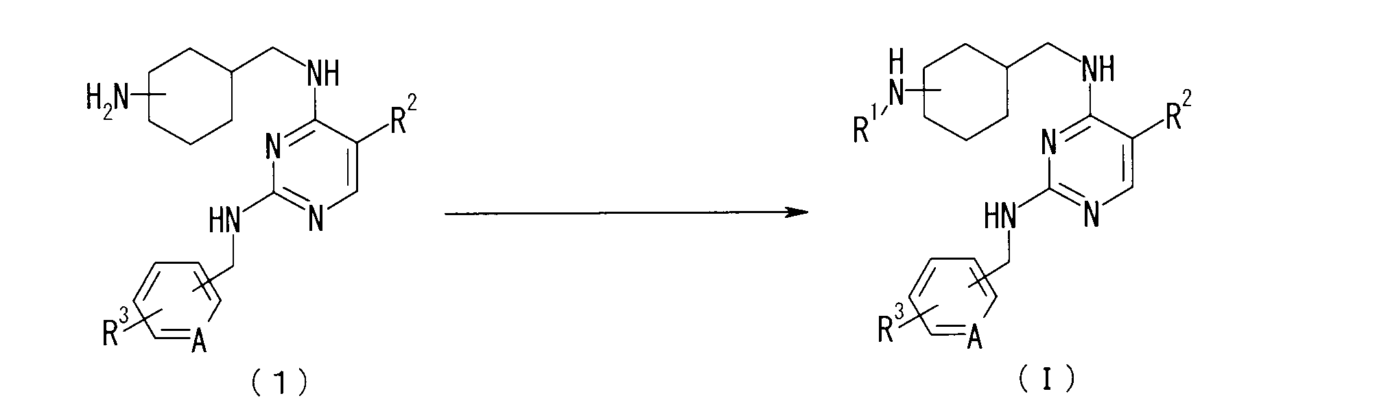 Figure JPOXMLDOC01-appb-C000016