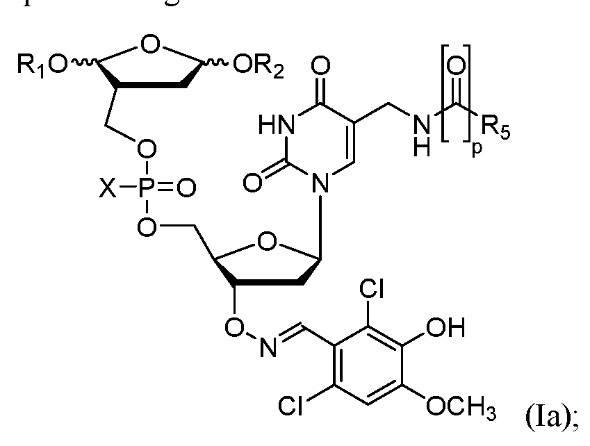 Figure imgf000081_0002