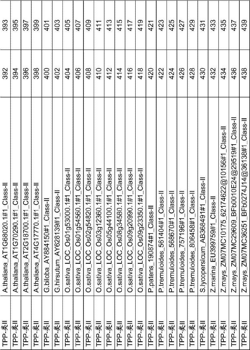 CN102666858A - 具有增强的产量相关性状的植物和用于产生该植物的方法- Google Patents