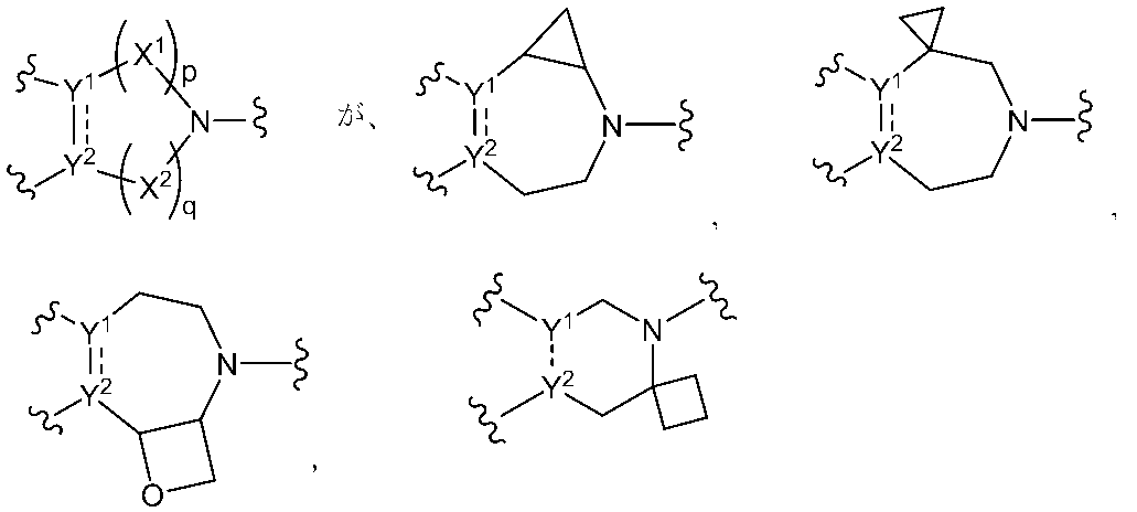 Figure JPOXMLDOC01-appb-C000075