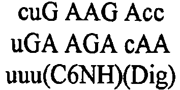 Figure imgb0009