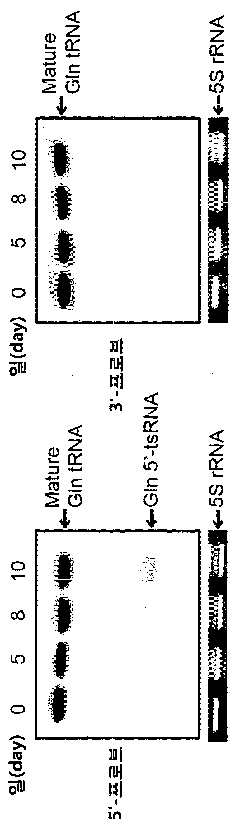 특허 도면 6