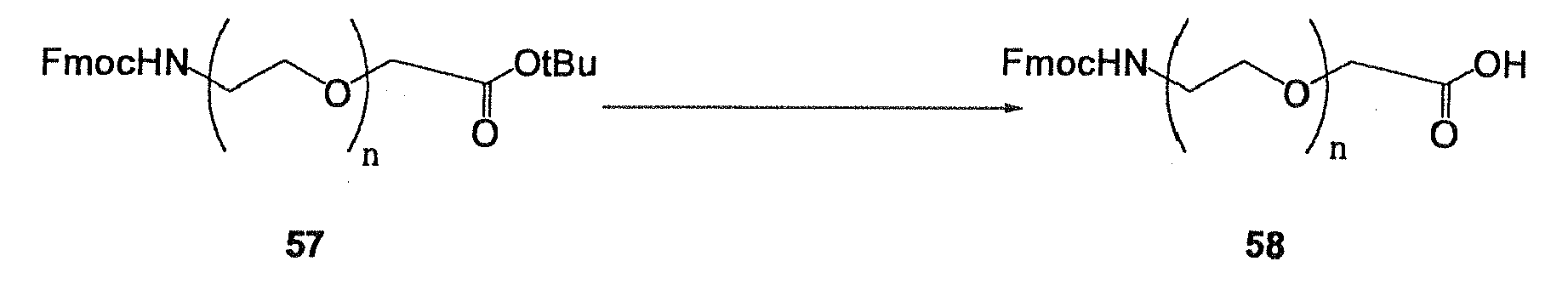 Figure imgb0106