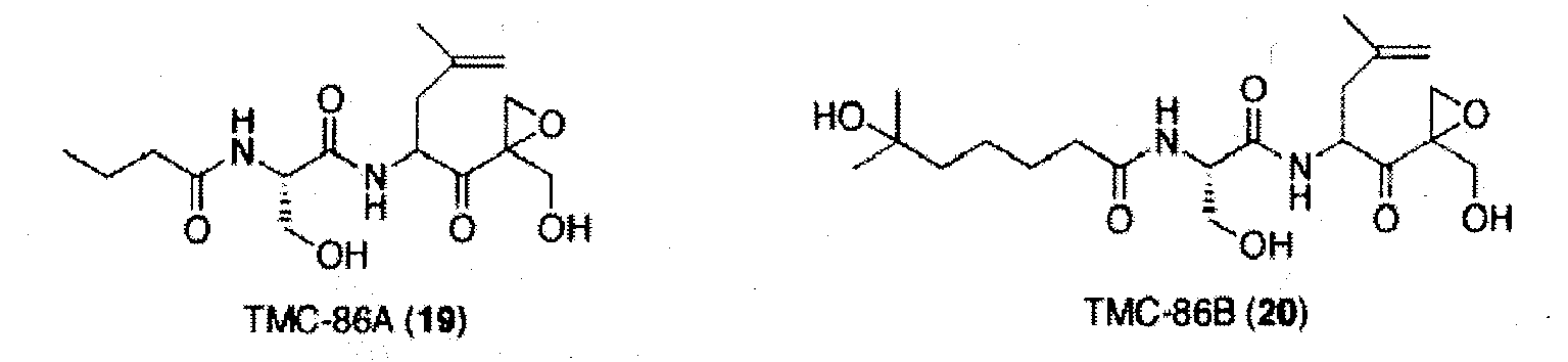 Figure imgb0010