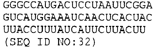 Figure imgb0033