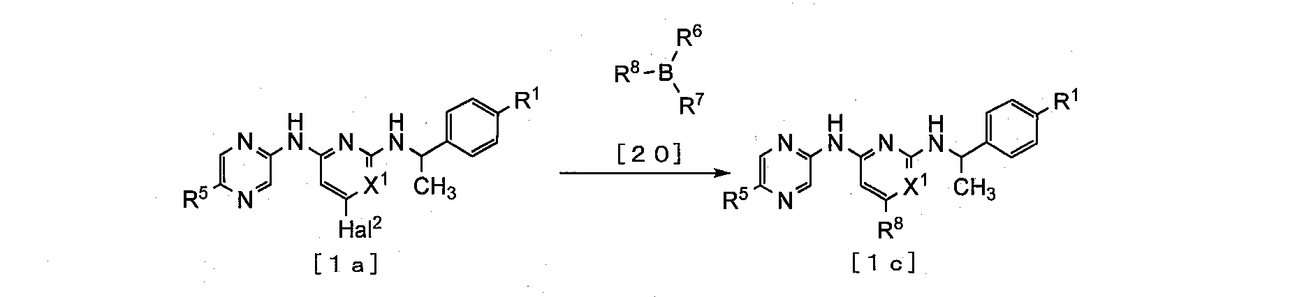 Figure JPOXMLDOC01-appb-C000049