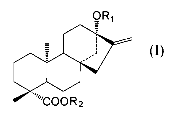 Figure JPOXMLDOC01-appb-C000009