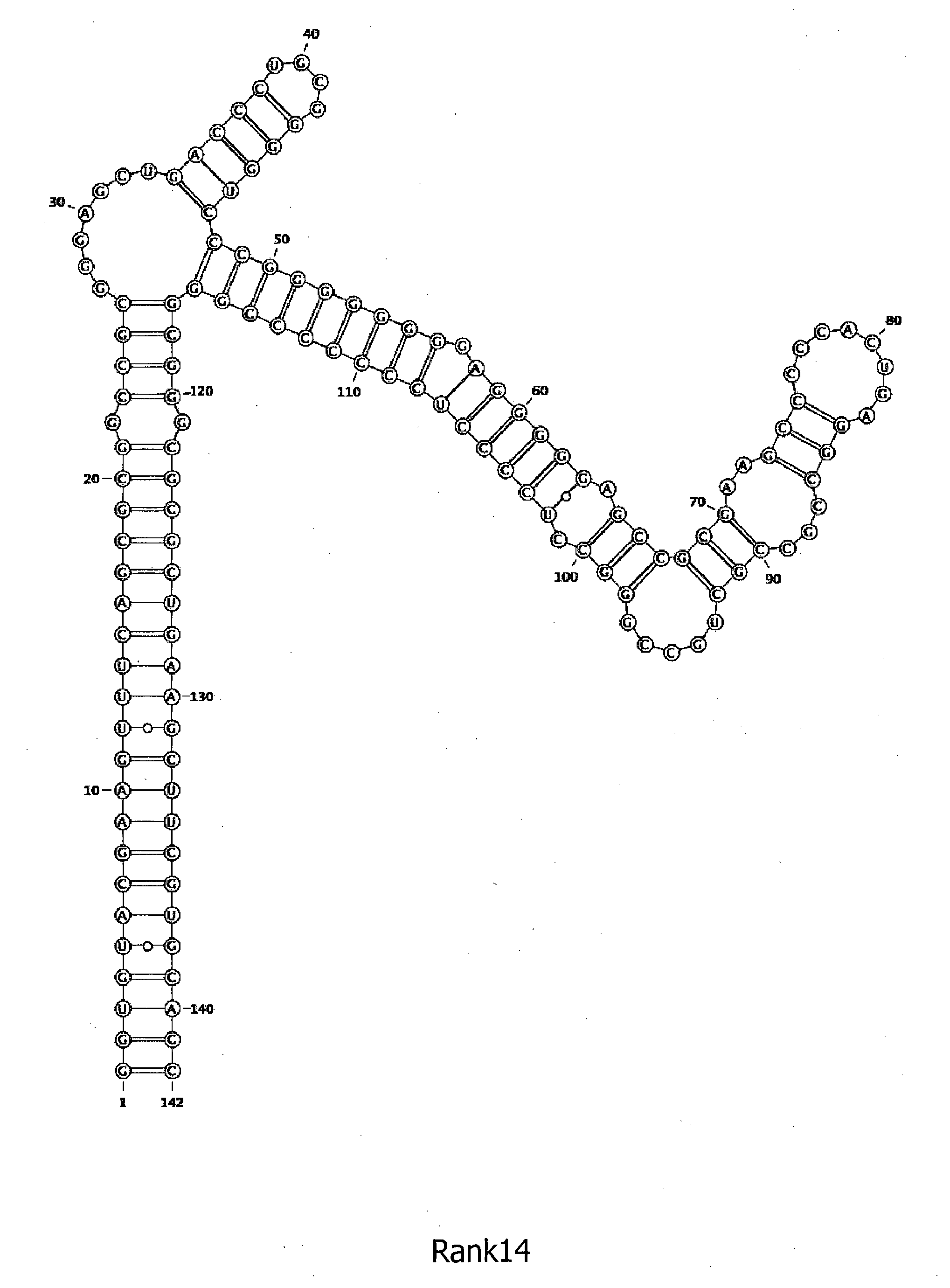 Wo2018003809a1 rna構造ライブラリ Google Patents