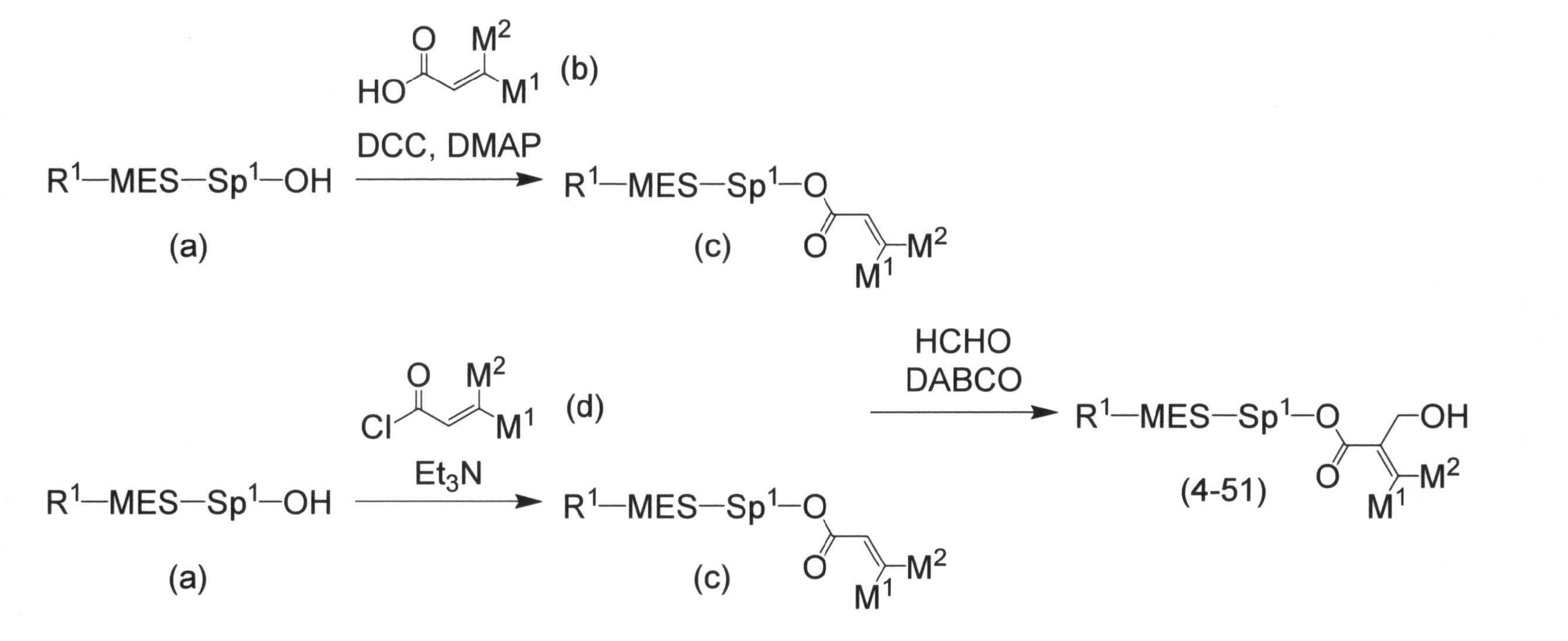 Figure JPOXMLDOC01-appb-C000041