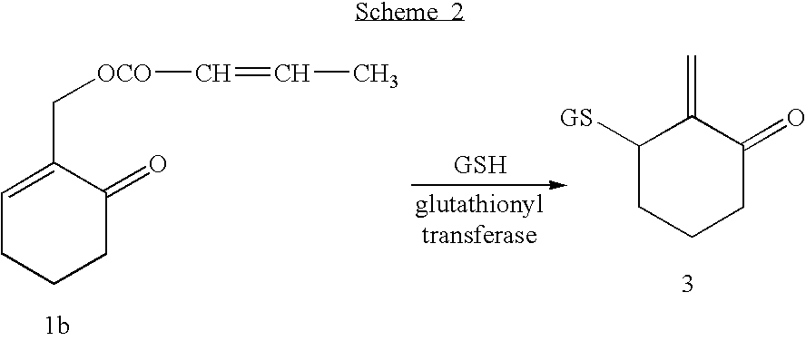 Figure US20030191066A1-20031009-C00002