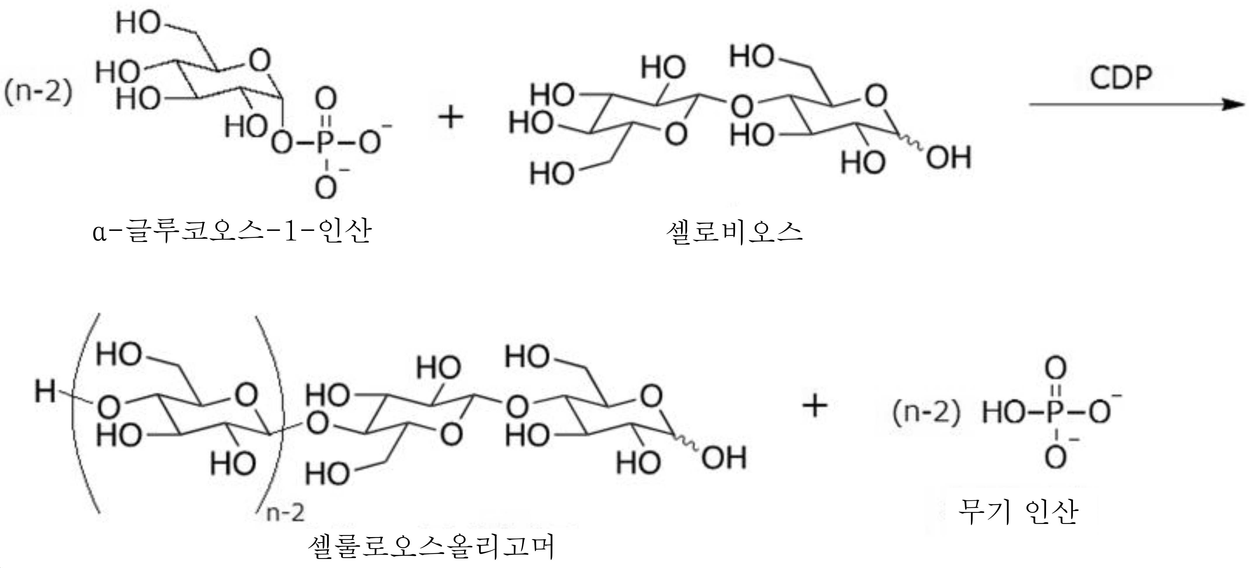 KR20220092862A - 부유배양용 배지 첨가제, 배지 조성물 및 배양 방법 - Google Patents