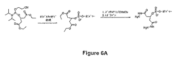 Jp4880182b2 Macromolecules With Hydrazide Binding Moieties And Reagents For Their Production Google Patents