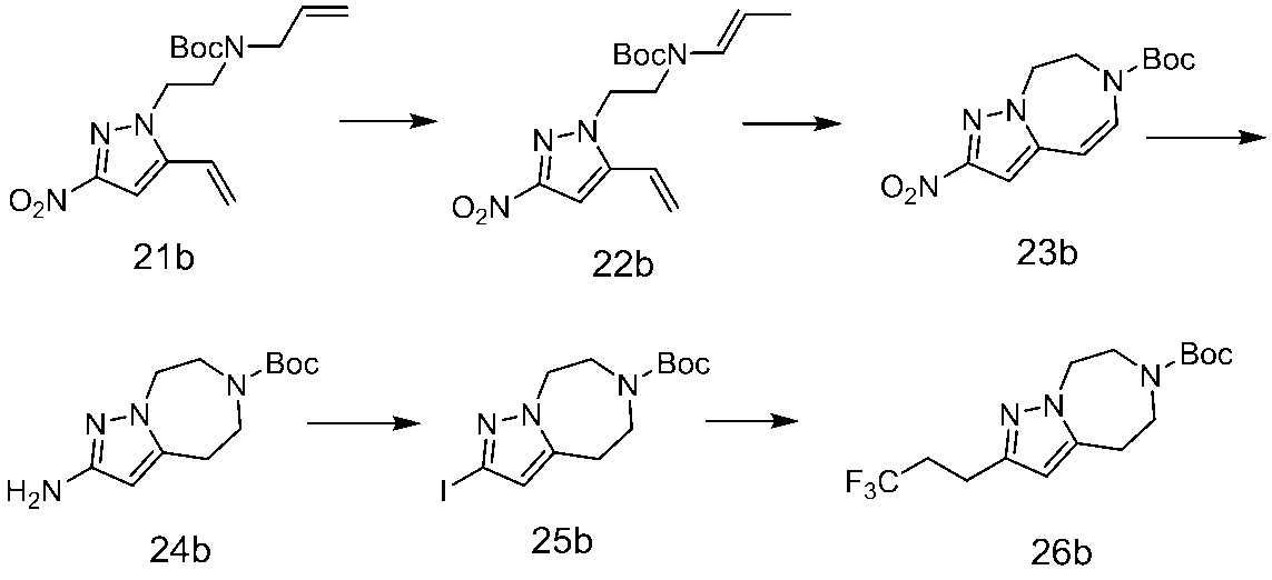 Figure JPOXMLDOC01-appb-C000174