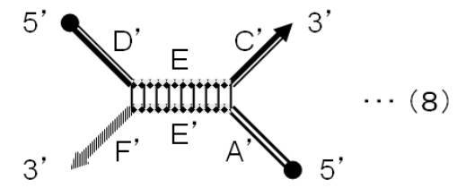 Figure JPOXMLDOC01-appb-C000008