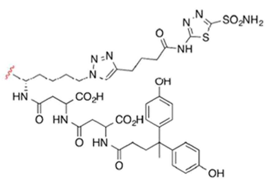 Figure pct01187