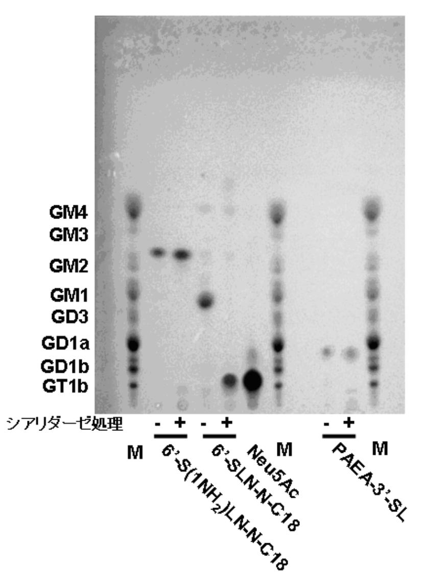 ユニセル 10粒✖️16シート=160粒 【公式通販】