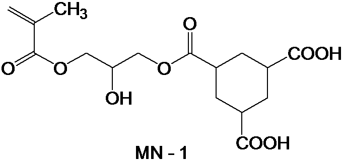 Figure JPOXMLDOC01-appb-C000030