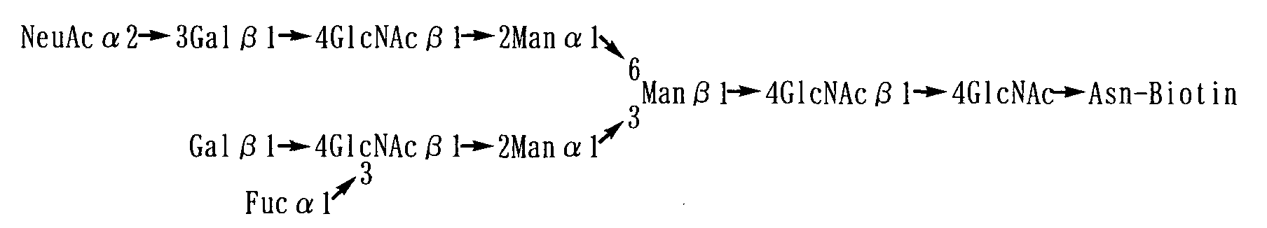 Figure 00860004