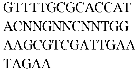 Figure imgb0355