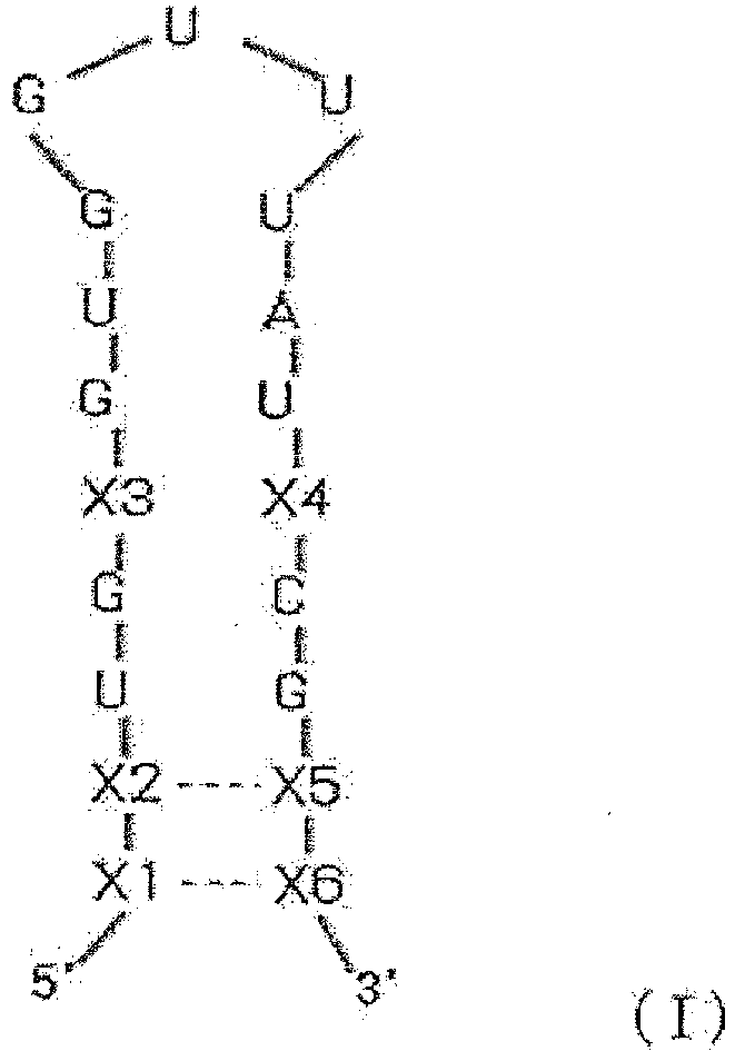Figure imgb0007