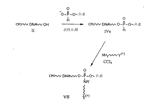 Jp2005503114a 核酸分子の電荷タグと分離方法 Google Patents