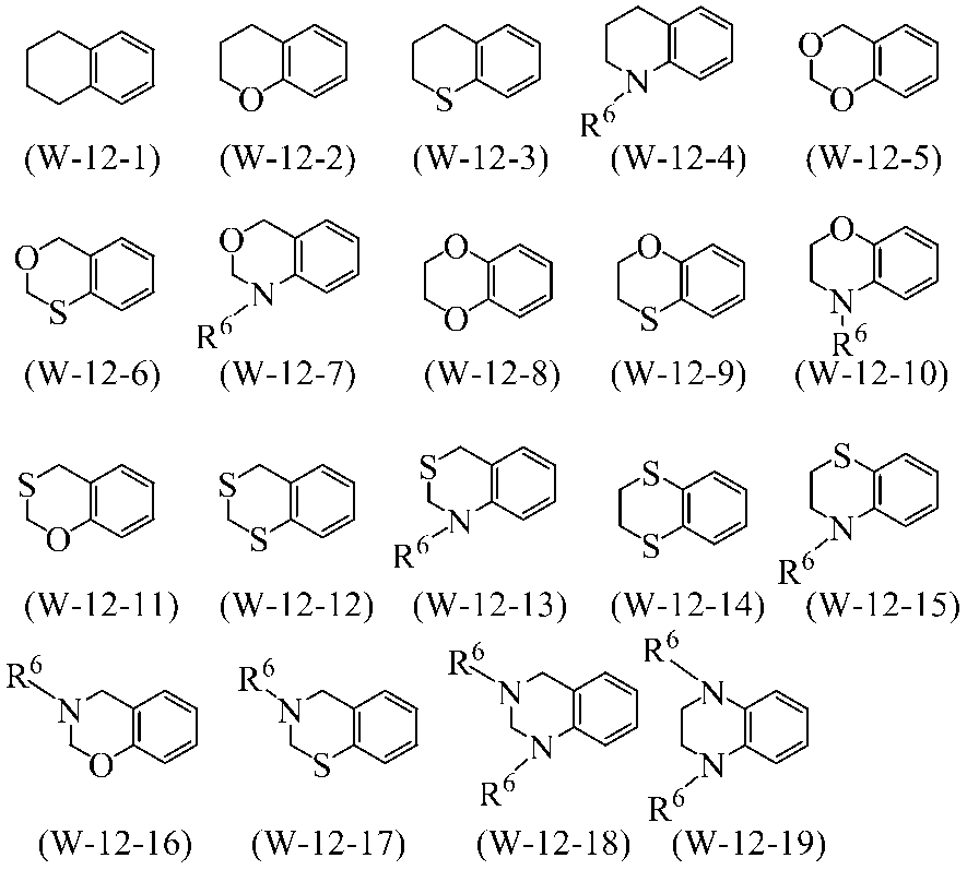 Figure JPOXMLDOC01-appb-C000025