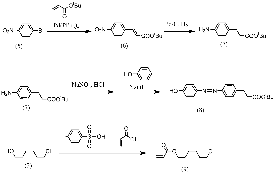 Figure JPOXMLDOC01-appb-C000053