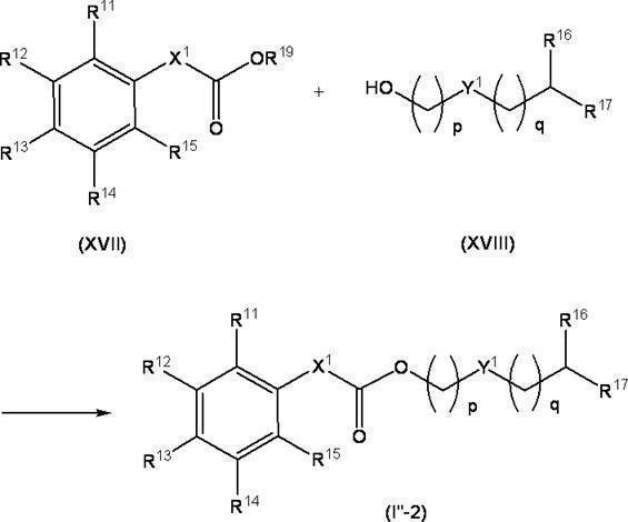 Figure JPOXMLDOC01-appb-C000027