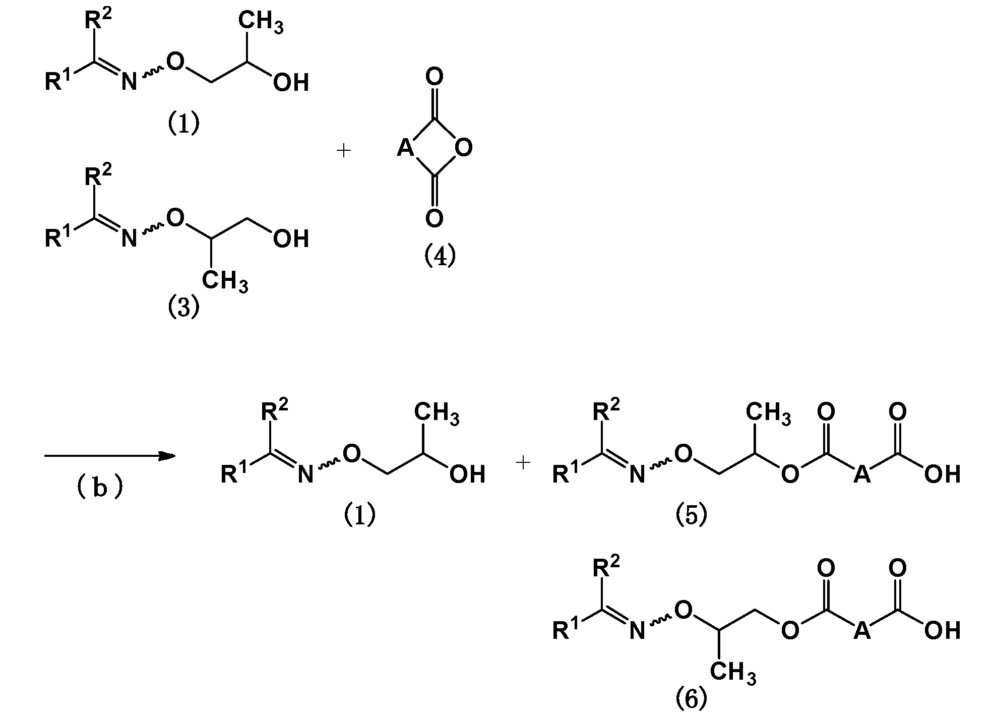 Figure JPOXMLDOC01-appb-C000007