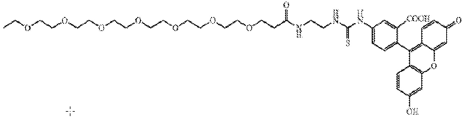 Figure imgb0050
