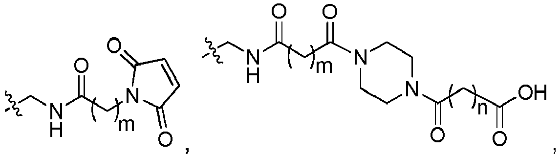 Figure imgb0104