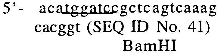 Figure imgb0023