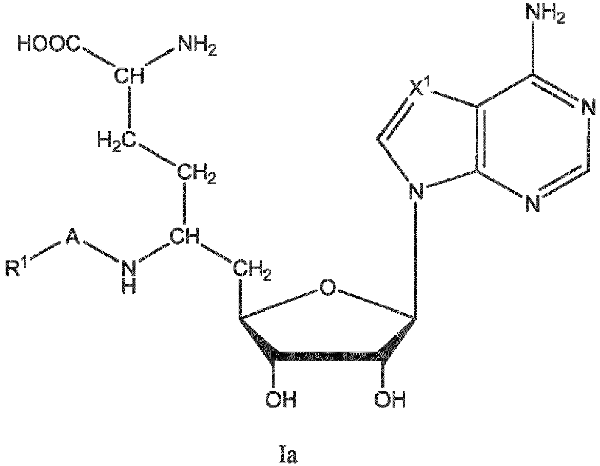 Figure imgb0033