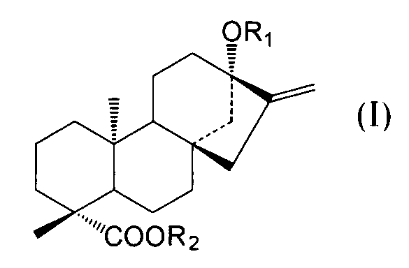 Figure JPOXMLDOC01-appb-C000005