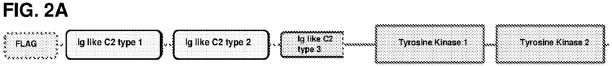 Figure imgaf001