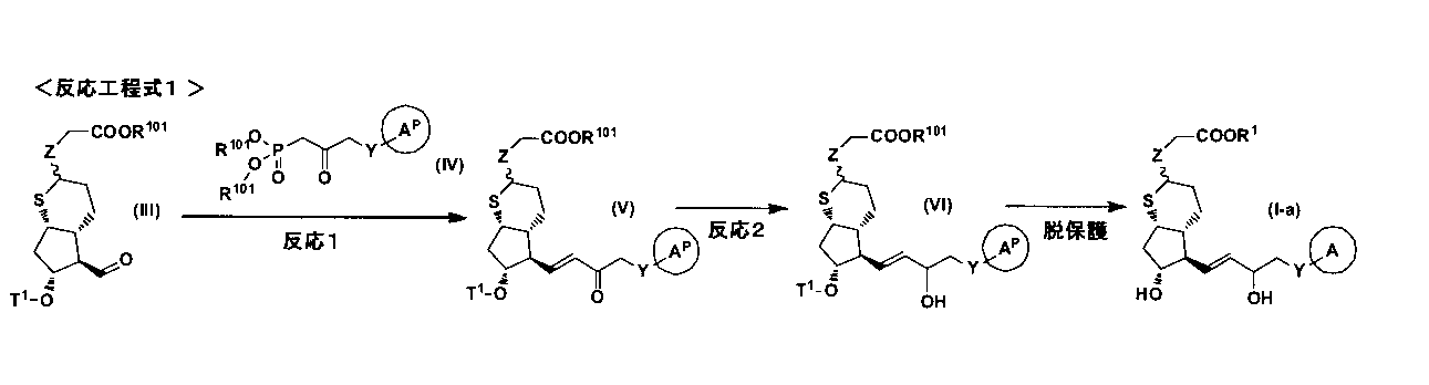 Figure JPOXMLDOC01-appb-C000031