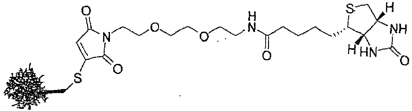Figure imgb0121
