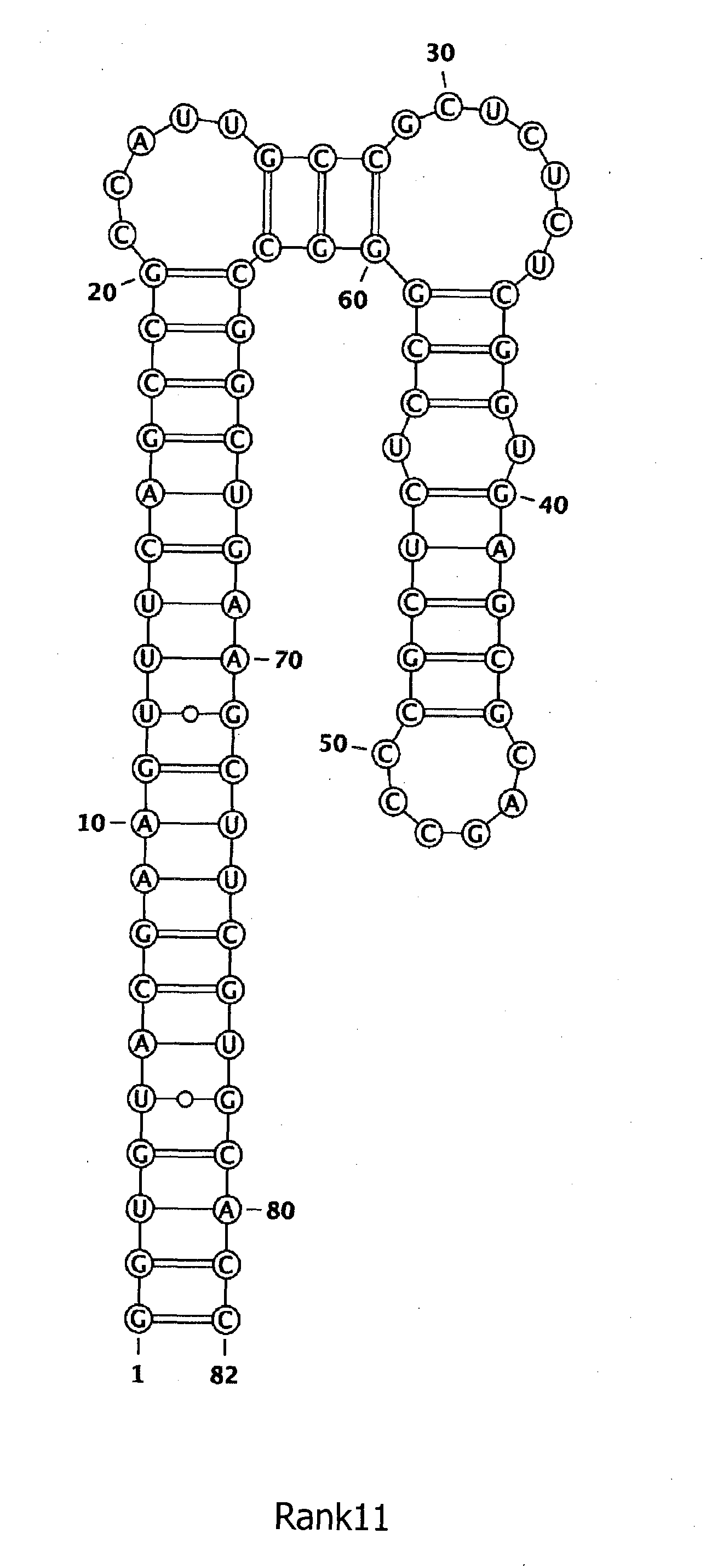 Wo2018003809a1 rna構造ライブラリ Google Patents
