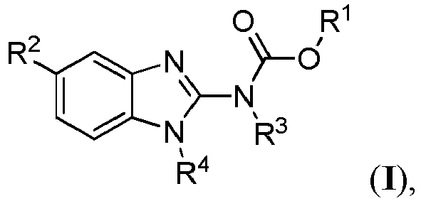 Figure imgb0013