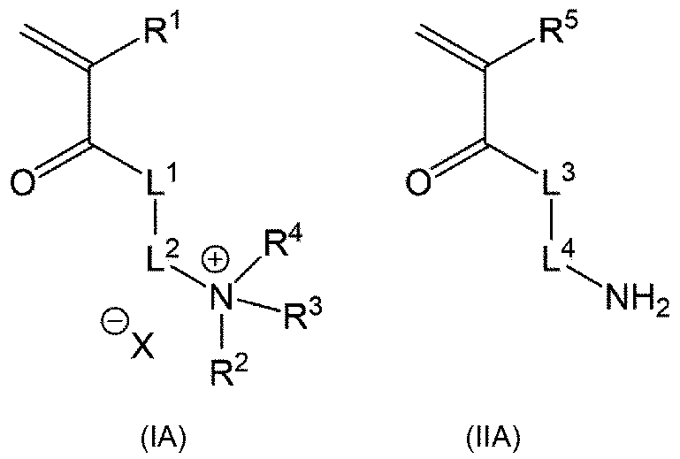Figure JPOXMLDOC01-appb-C000004