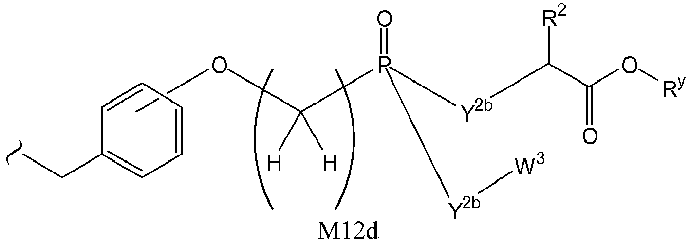 Figure imgb0025