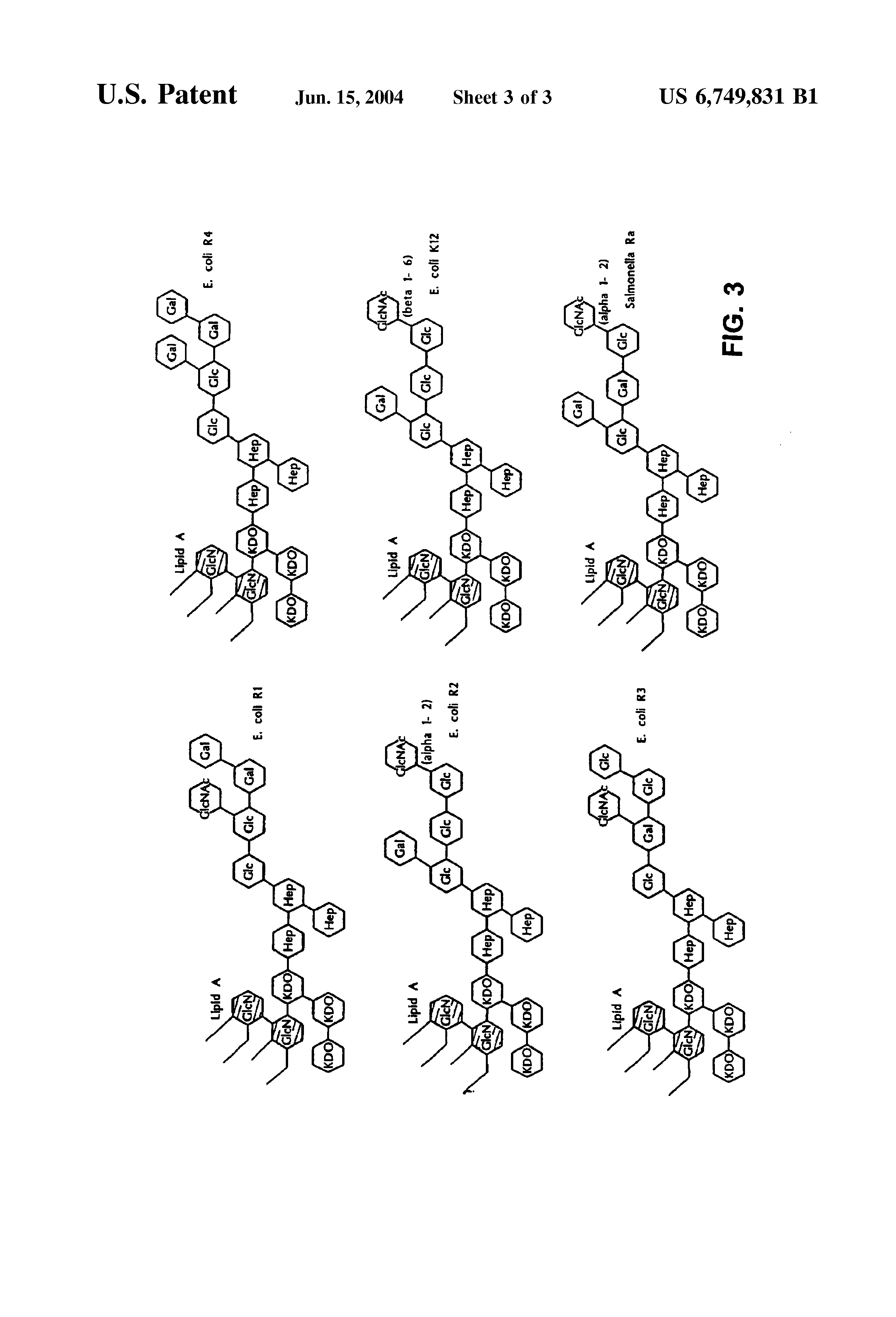 pbp3 e coli s307 pbp3 e coli s307