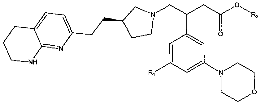Figure pct00014