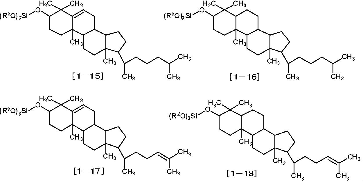 Figure JPOXMLDOC01-appb-C000050